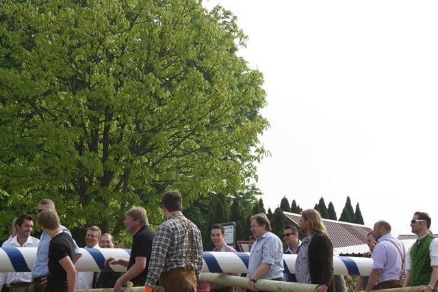 Maibaum 2013